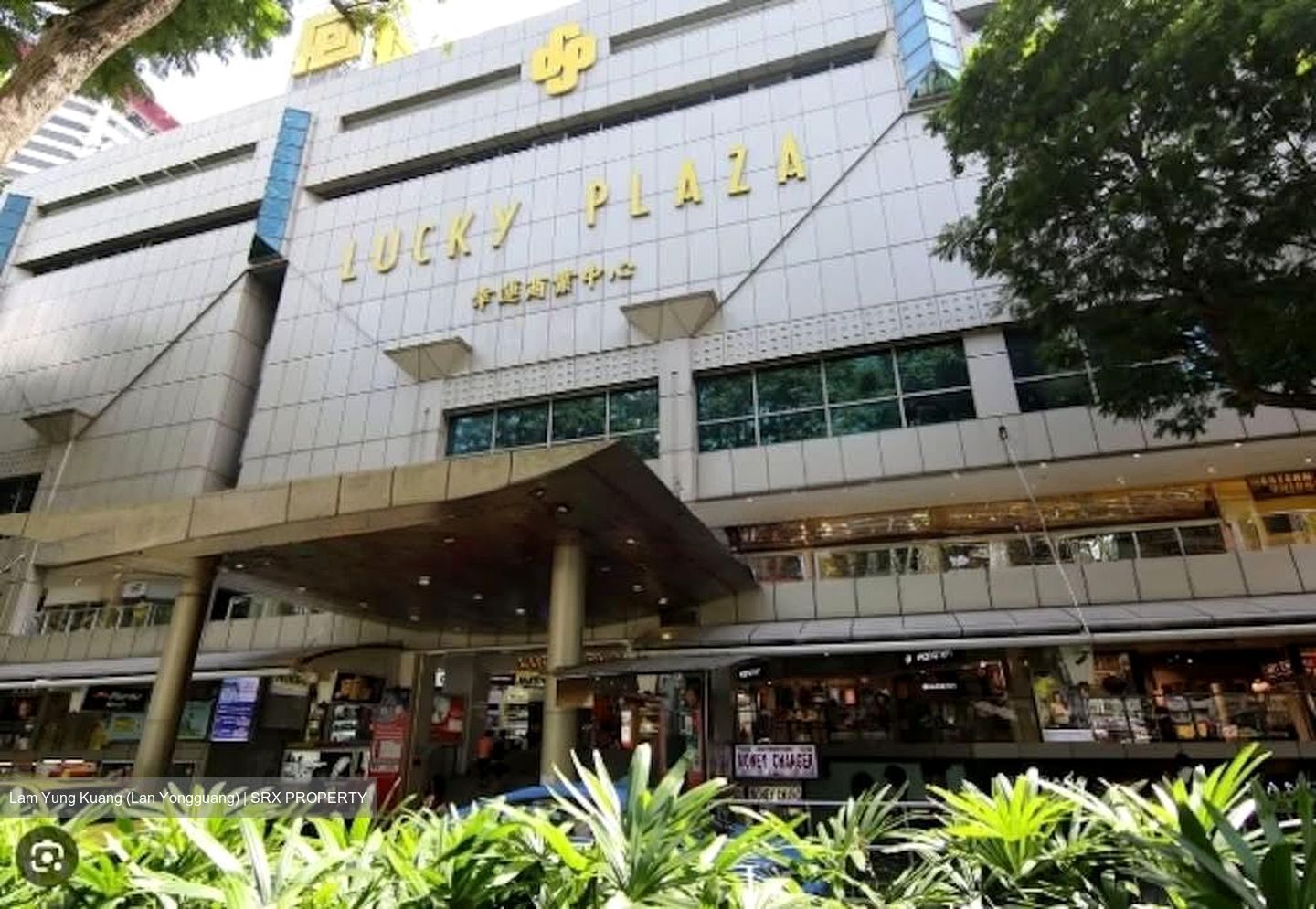 Lucky Plaza (D9), Shop House #594477751